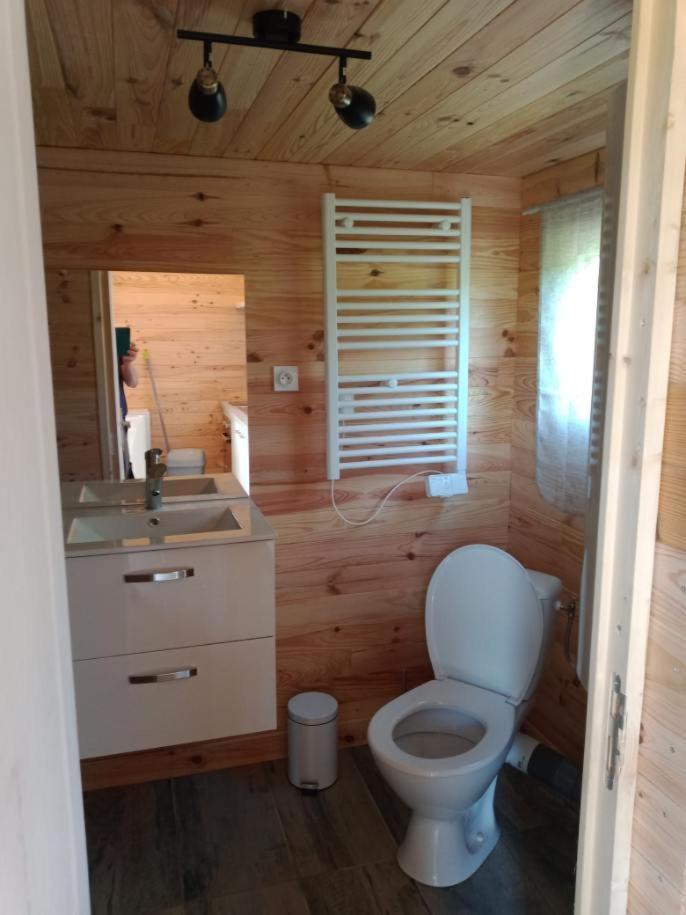 Chalet Au Calme Coullons Dış mekan fotoğraf